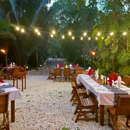 Mariposa Jungle Lodge San Ignacio Ngoại thất bức ảnh
