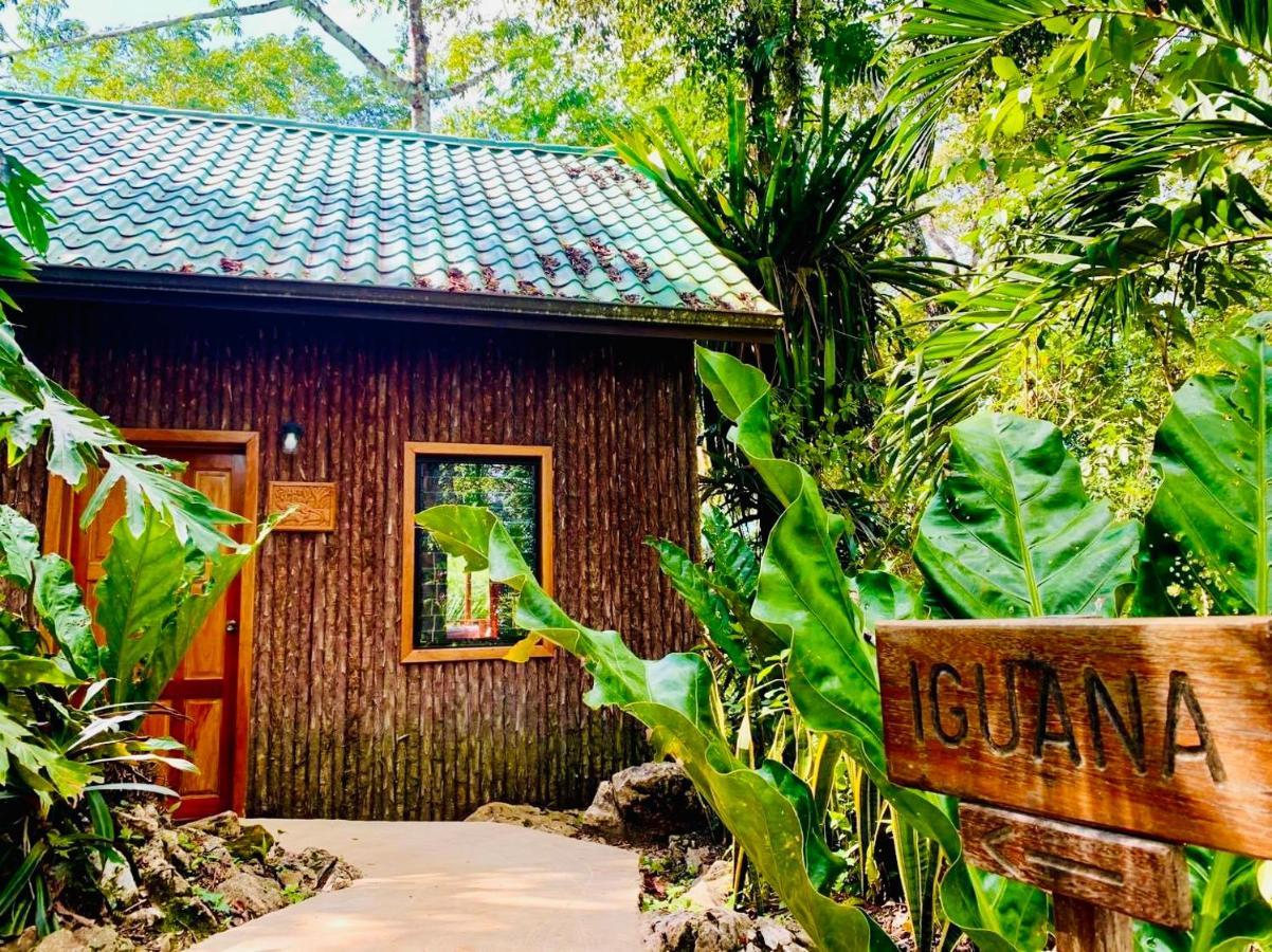 Mariposa Jungle Lodge San Ignacio Ngoại thất bức ảnh