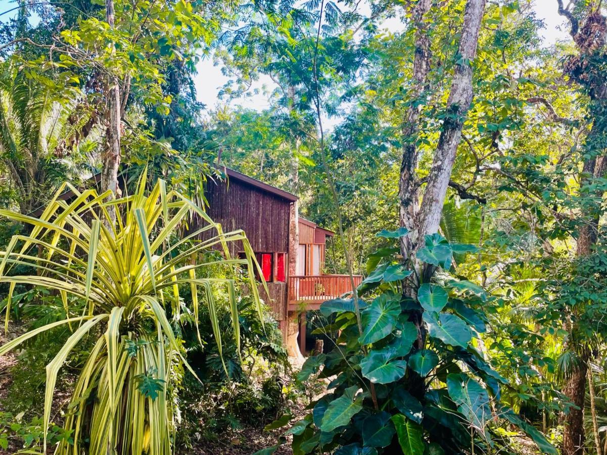 Mariposa Jungle Lodge San Ignacio Ngoại thất bức ảnh