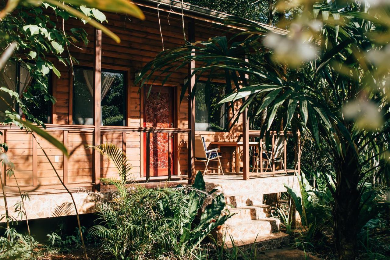 Mariposa Jungle Lodge San Ignacio Ngoại thất bức ảnh