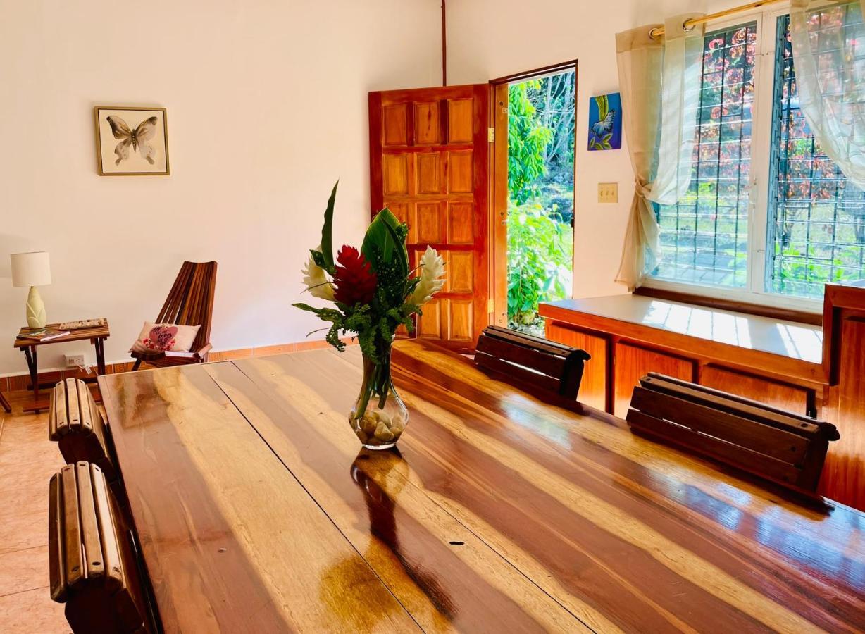 Mariposa Jungle Lodge San Ignacio Ngoại thất bức ảnh