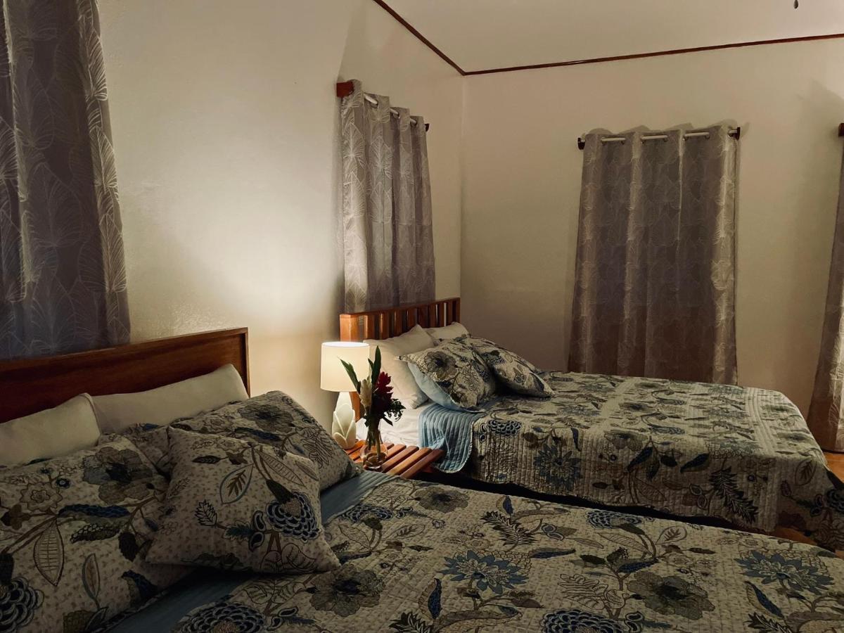 Mariposa Jungle Lodge San Ignacio Ngoại thất bức ảnh