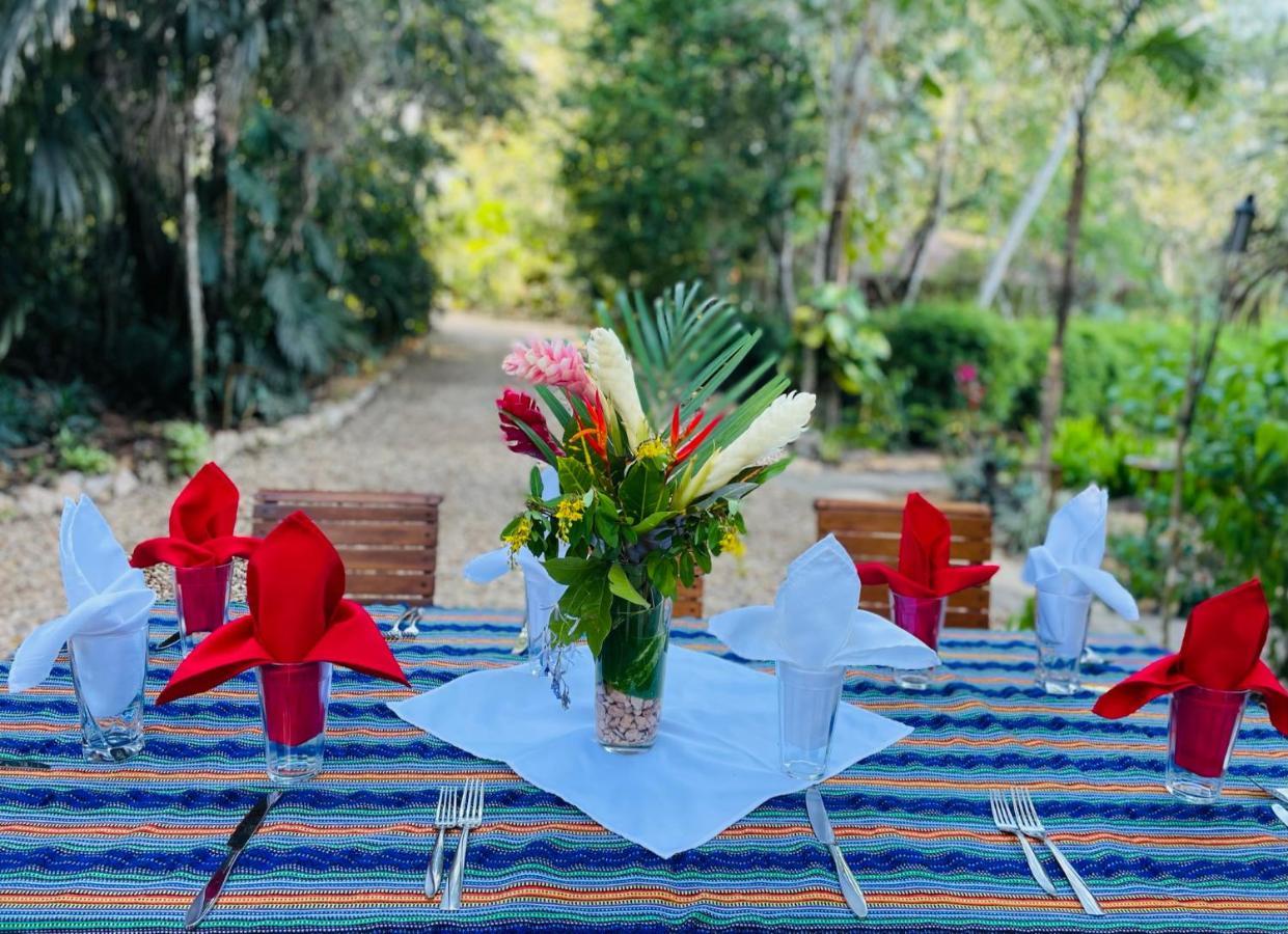 Mariposa Jungle Lodge San Ignacio Ngoại thất bức ảnh