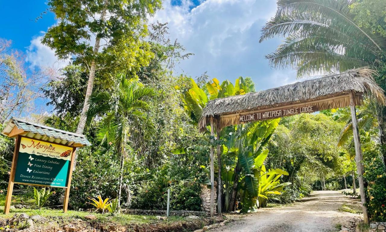 Mariposa Jungle Lodge San Ignacio Ngoại thất bức ảnh