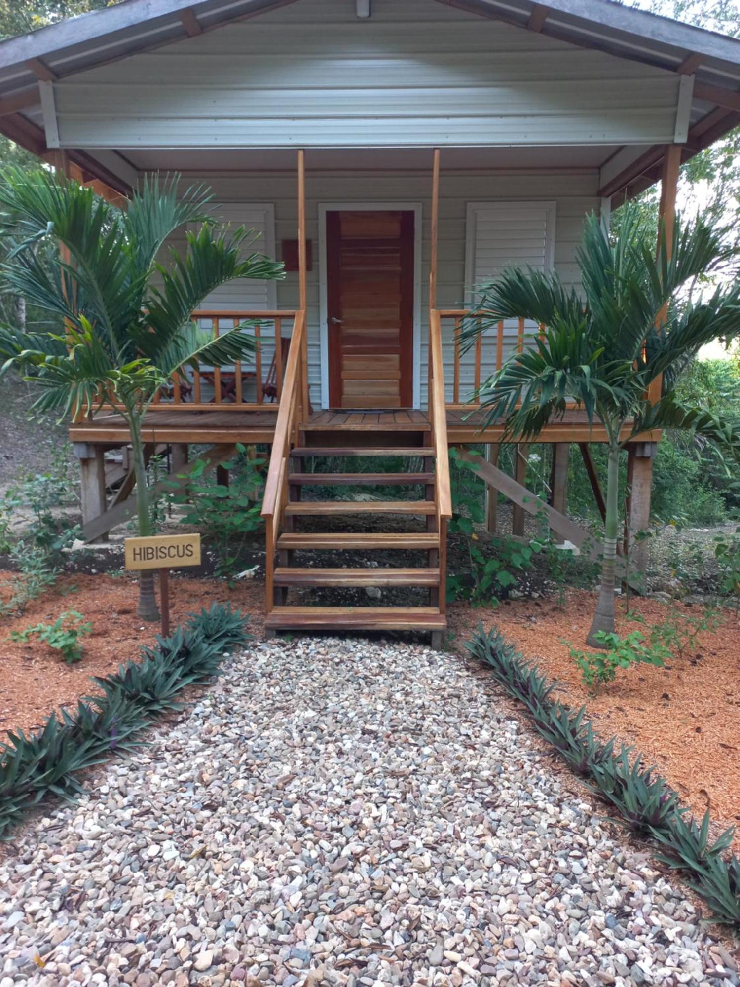 Mariposa Jungle Lodge San Ignacio Ngoại thất bức ảnh